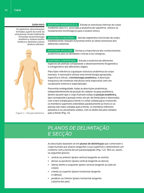 Anatomia Geral e Odontológica