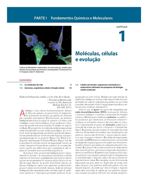 Biologia Celular e Molecular