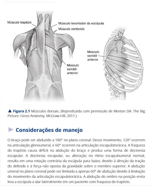 Medicina Física e Reabilitação