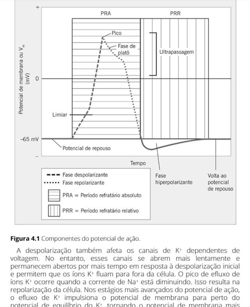 Casos Clínicos em Neurociências