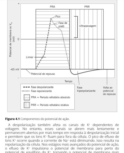 Casos Clínicos em Neurociências