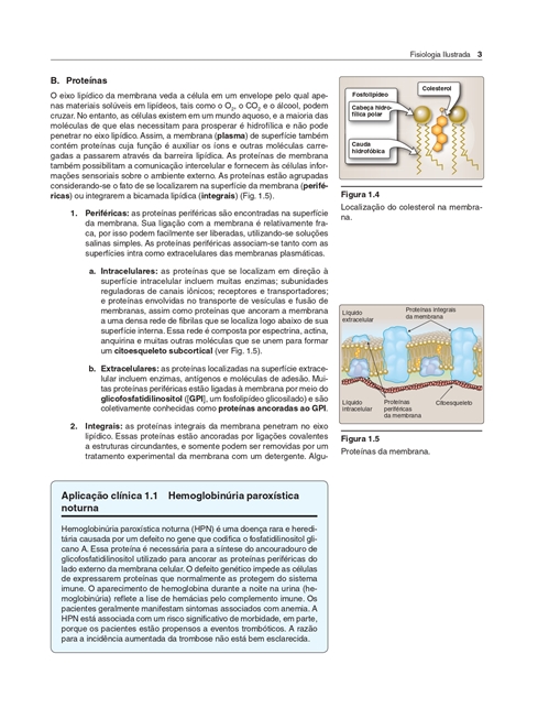 Fisiologia Ilustrada