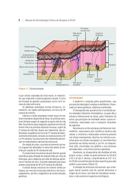 Fundamentos de Arte