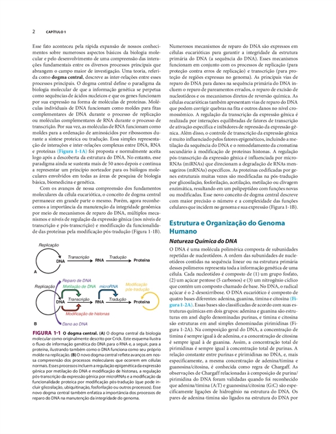 Patologia