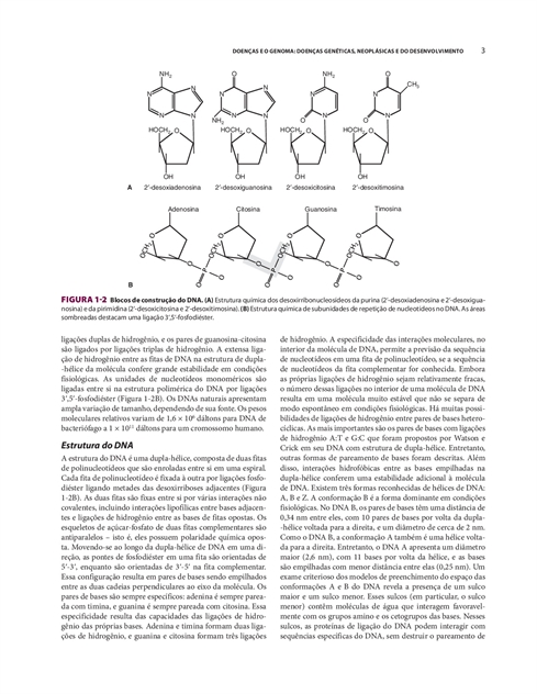 Patologia