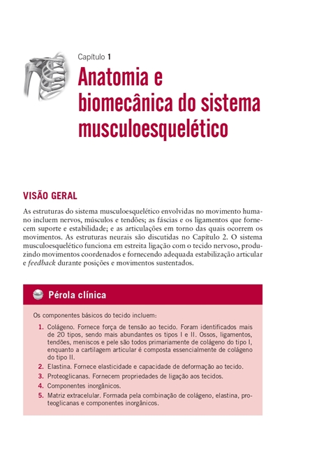 Guia de Sobrevivência do Fisioterapeuta