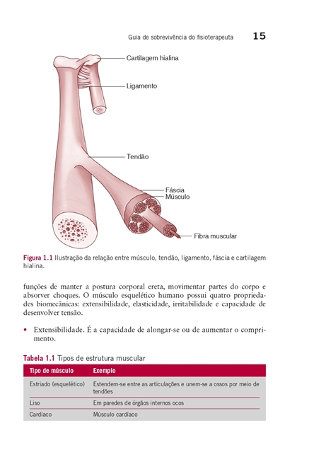 Guia de Sobrevivência do Fisioterapeuta