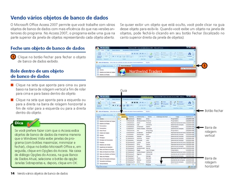 Microsoft Office Access 2007