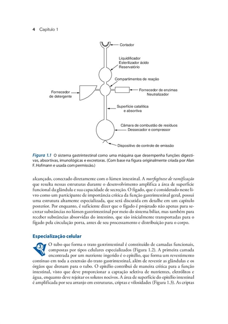 Fisiologia Gastrintestinal