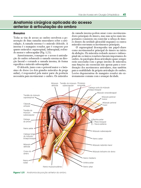 Vias de Acesso em Cirurgia Ortopedica