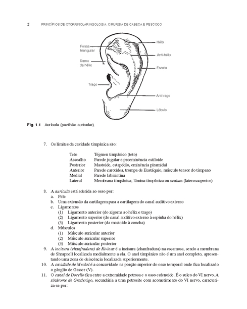 Princípios de Otorrinolaringologia