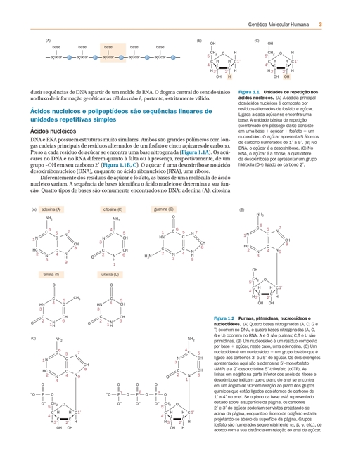 Genética Molecular Humana