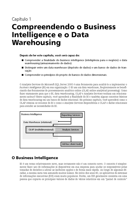 Microsoft SQL Server 2005 Analysis Services