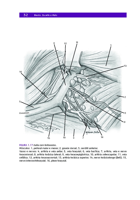 Cirurgia da Mama