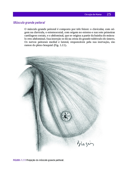 Cirurgia da Mama