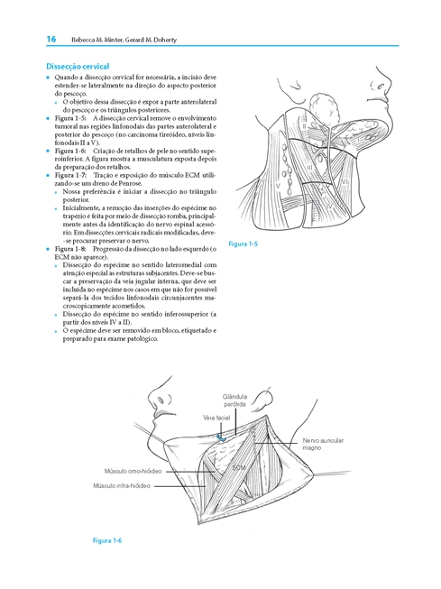 Cirurgia