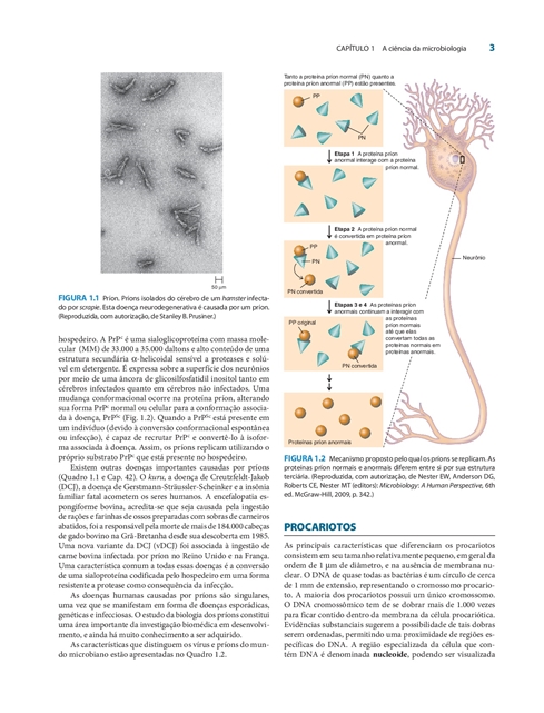 Microbiologia Médica de Jawetz, Melnick & Adelberg