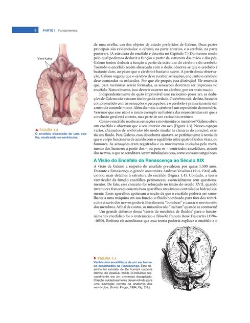 Neurociências