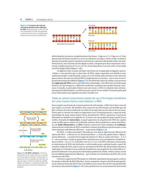 Biologia Molecular da Célula