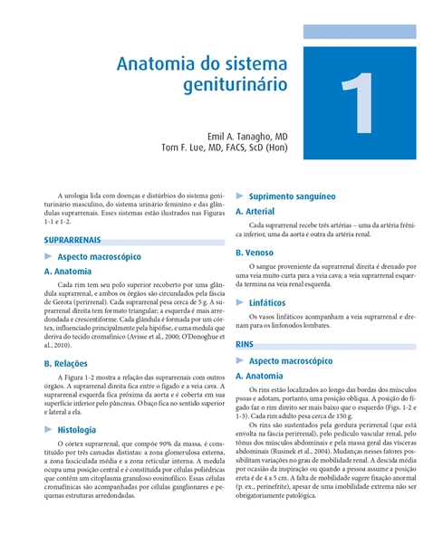 Urologia Geral de Smith e Tanagho