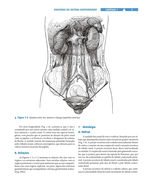 Urologia Geral de Smith e Tanagho