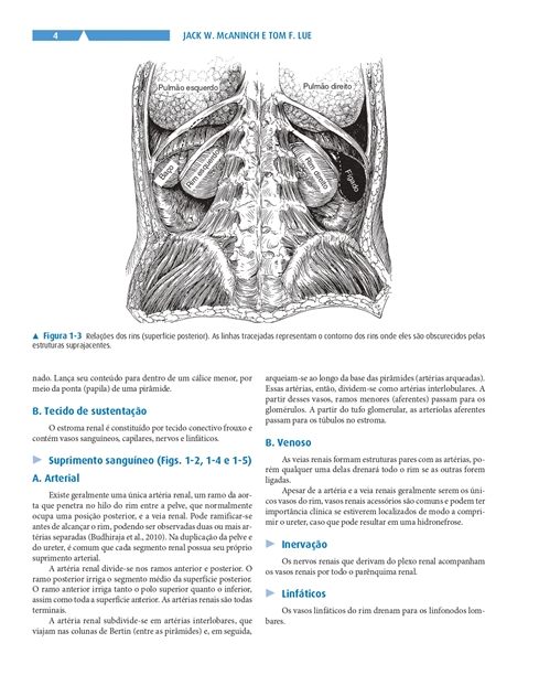 Urologia Geral de Smith e Tanagho