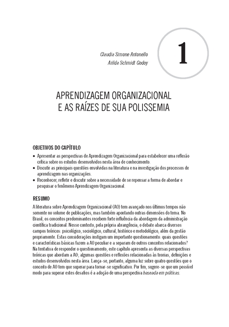 Aprendizagem Organizacional no Brasil