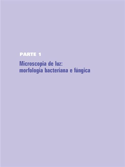 Microscopia de Luz em Microbiologia