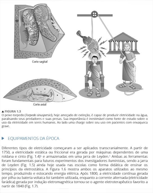 Princípios e Práticas do Uso da Neuromodulação Não Invasiva em Psiquiatria