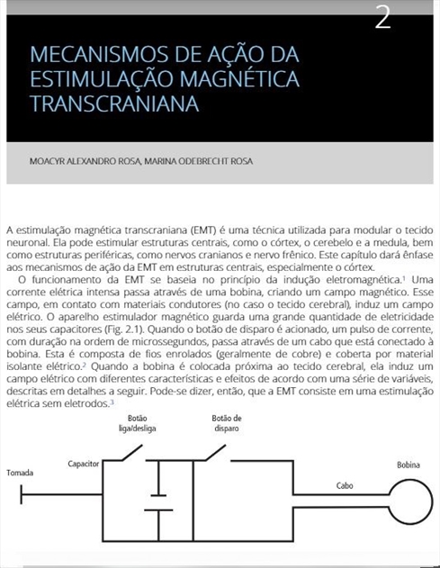 Princípios e Práticas do Uso da Neuromodulação Não Invasiva em Psiquiatria