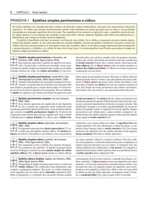 Atlas de Histologia Descritiva