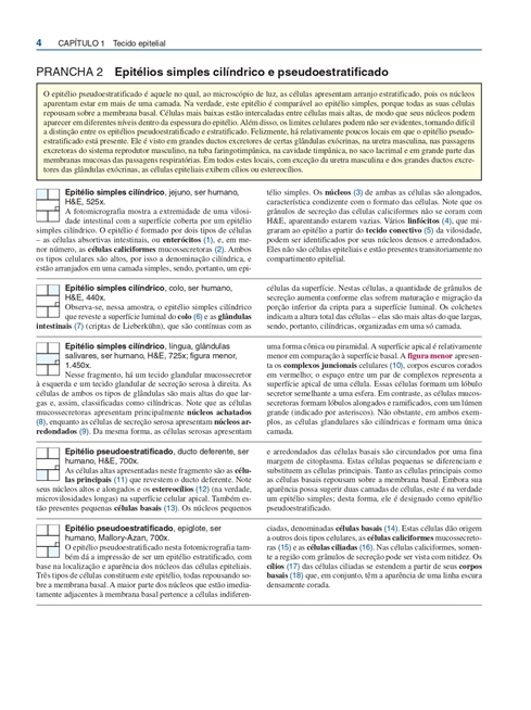 Atlas de Histologia Descritiva