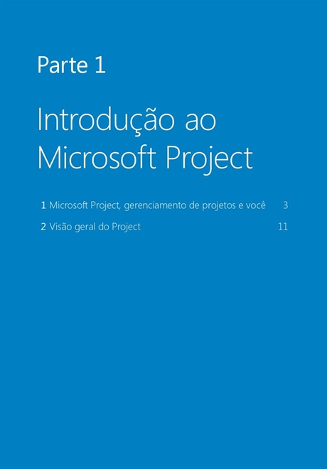 Microsoft Project 2013