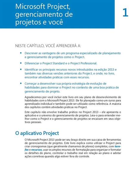 Microsoft Project 2013