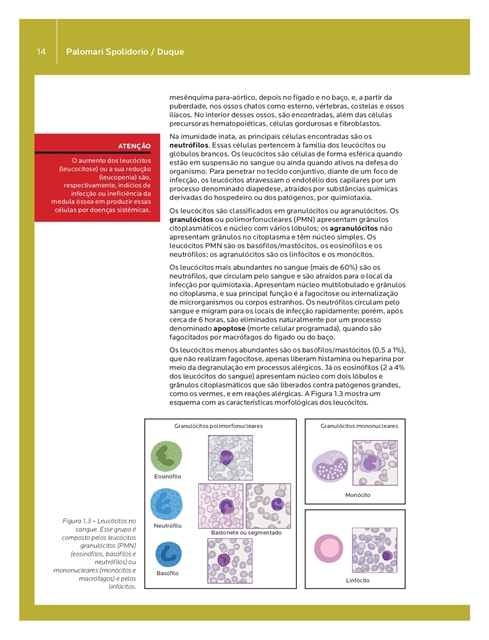 Microbiologia e Imunologia Geral e Odontológica