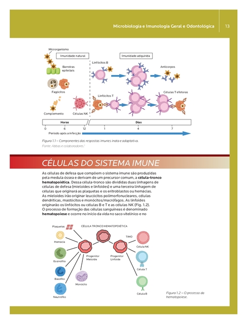 Microbiologia e Imunologia Geral e Odontológica