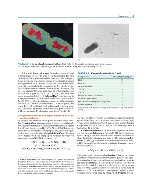 Bioquímica