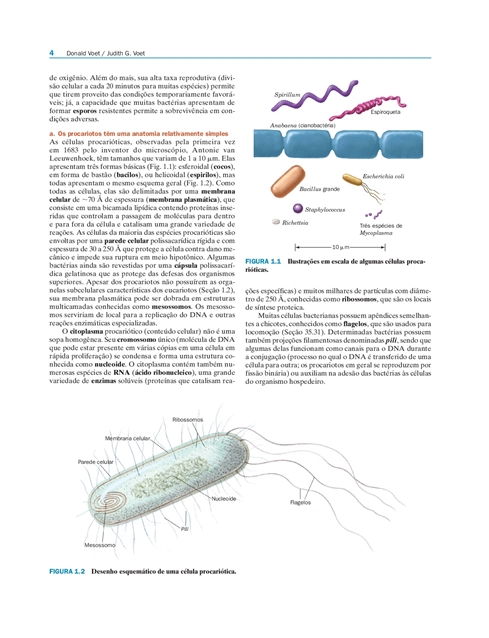 Bioquímica