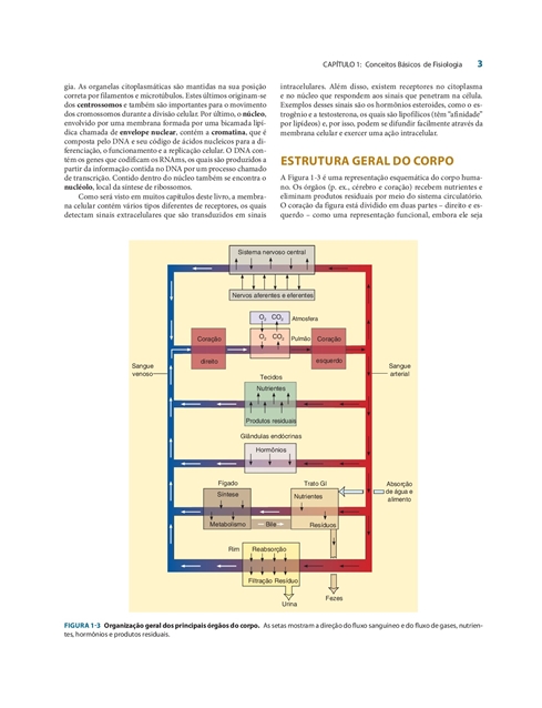 Fisiologia Médica