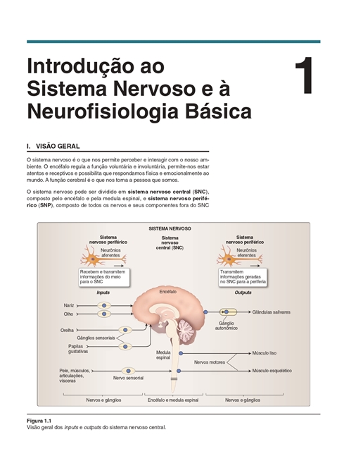 Neurociências Ilustrada