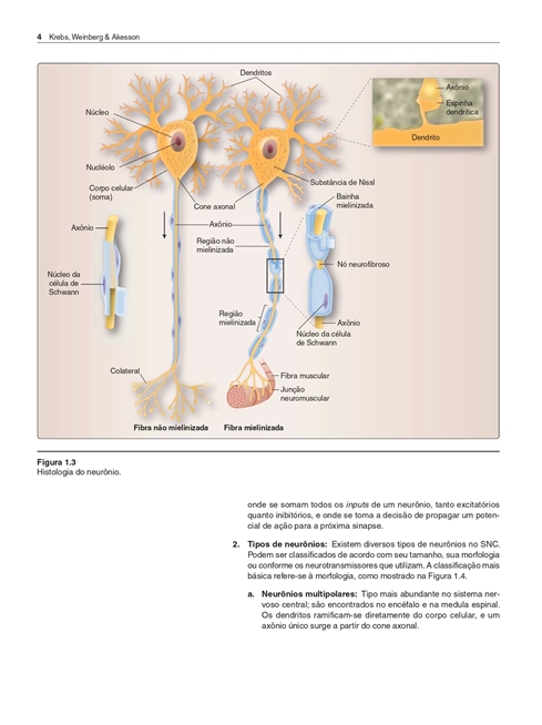 Neurociências Ilustrada