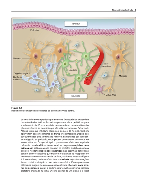 Neurociências Ilustrada