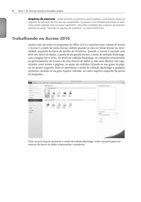 Microsoft Access 2010