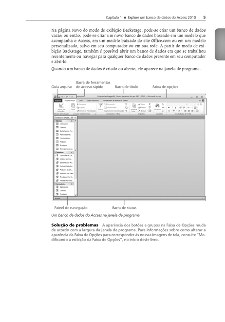 Microsoft Access 2010