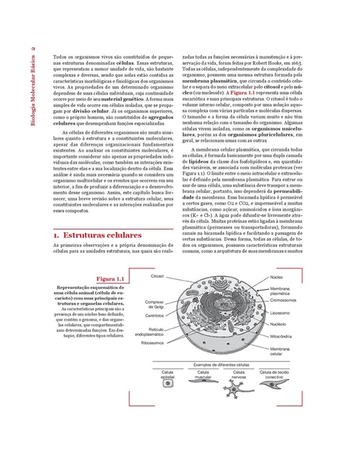 Biologia Molecular Básica