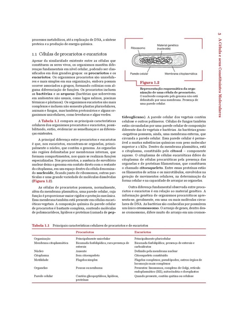 Biologia Molecular Básica