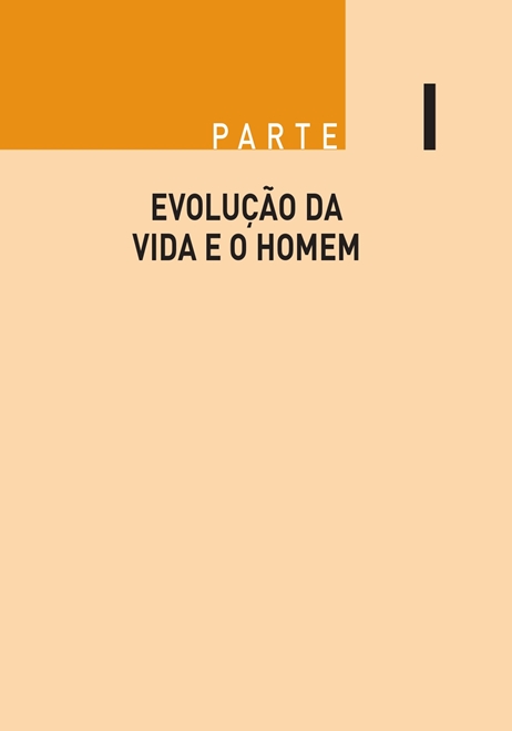 Evolução do Cérebro