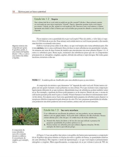 Química para um Futuro Sustentável