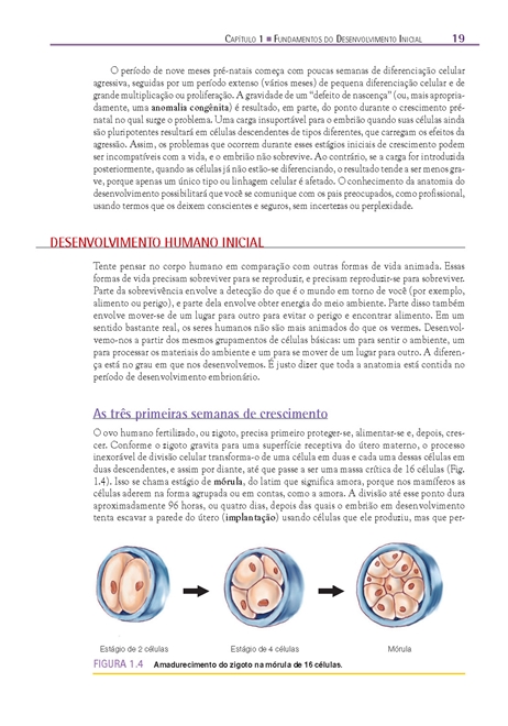 Fundamentos em Anatomia