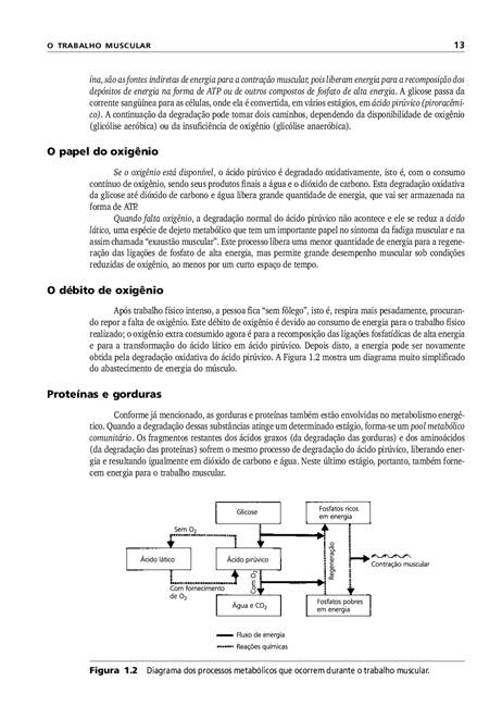 Manual de Ergonomia